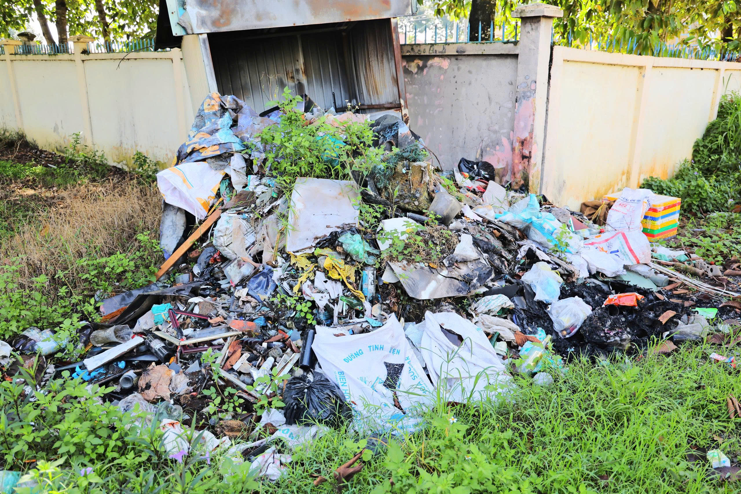 gen h z7122227322027 ba2bbdcf47e8c22f7e1aa218ec942c9e