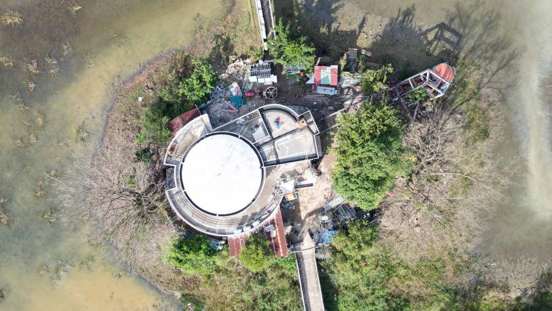 Description: E:\2025\TIN BÀI\gen-h-z7318457501341_bc1005dc4fc1210cc87fdb5e6502366a.jpg