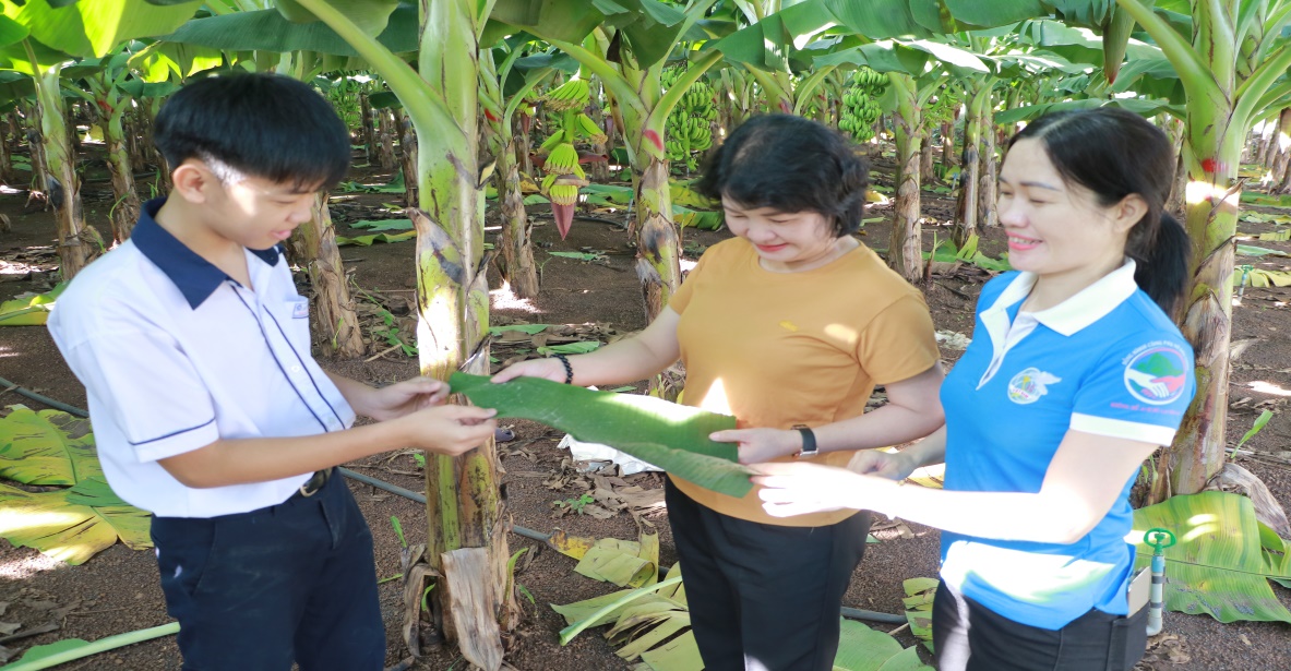 Description: C:\Users\HP\AppData\Local\Temp\Zalo Temp\TempDownloads\IMG_0903.JPG