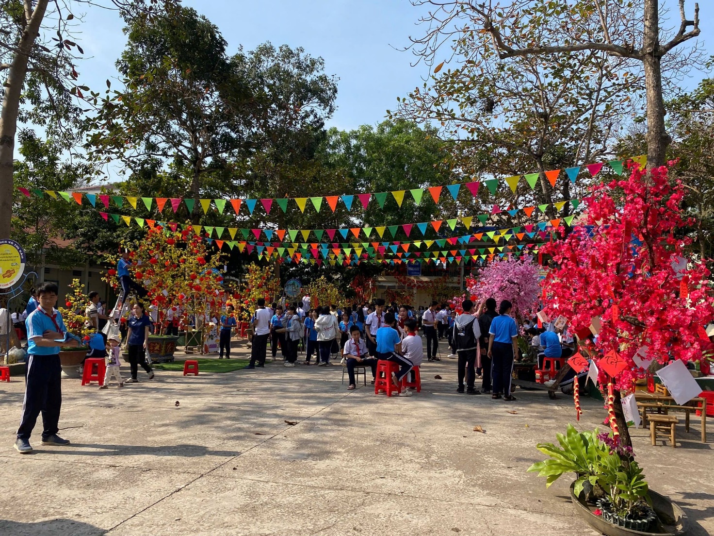 Có thể là hình ảnh về cây